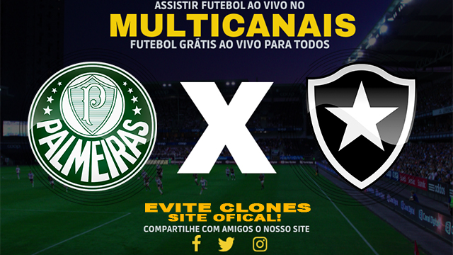 Assistir Palmeiras x Botafogo AO VIVO Online 26/11/2024