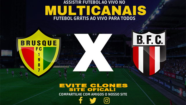 Assistir Brusque x Botafogo SP AO VIVO Online 05/11/2024