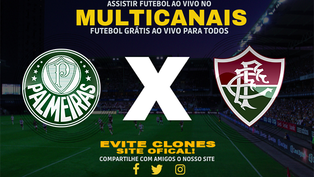 Assistir Palmeiras x Fluminense AO VIVO Online 08/12/2024